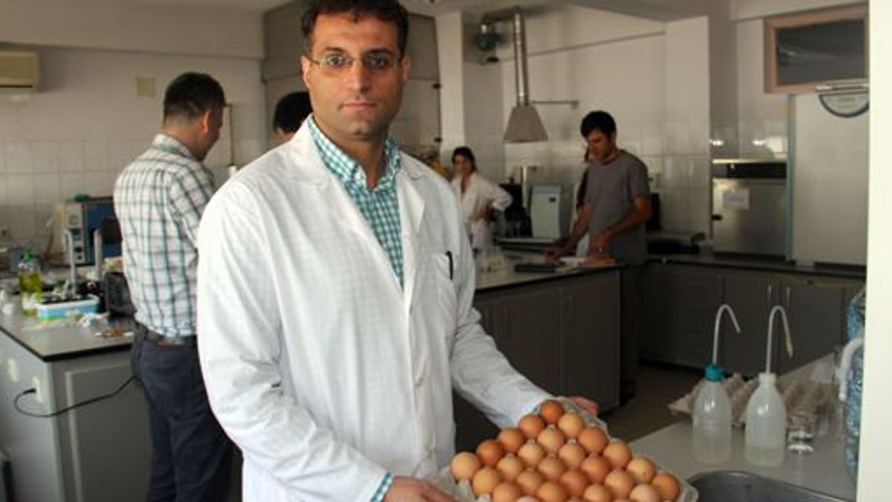 Çiğ Yumurta Gıda Zehirlenmesine Neden Oluyor