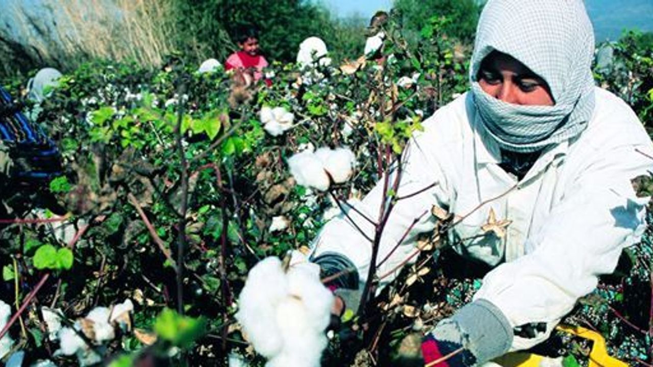 ÇÜ'de  “Tarımda İş Sağlığı ve Güvenliği” dersi