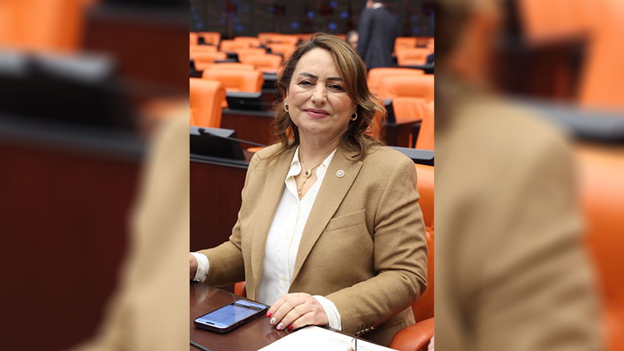 CHP’li Şevkin Meclis’te İsyan Etti: “80 Yaşındaki Yurttaş Hâlâ Tapu Alamıyor”