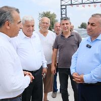 Genel