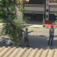 Adana