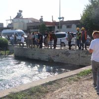 Asayiş