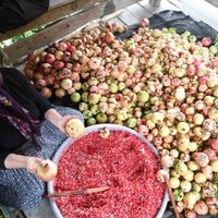 Adana