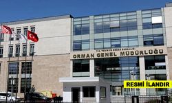 FİDAN ÜRETİM, BAKIM VE YÜKLEME HİZMETİ ALINACAKTIR