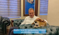 Belediyenin Maskotu Karamel'in Hikayesi Duyanları Gülümsetiyor