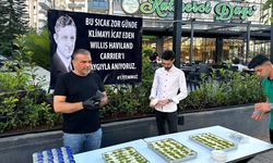 Klimanın Mucidi Carrier'e  Adana'dan İlginç Anma!