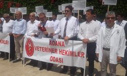 “Veteriner Hekime Şiddet Topluma Şiddettir!”