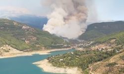 Alanya’daki Orman Yangını  Bir Günün Sonunda Kontrol Altına Alındı