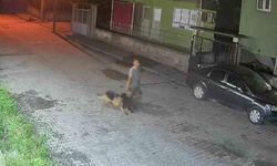 Çaldığı Köpekle Sokakta Salına Salına Gezdi