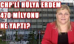 CHP'li Hülya Erdem 470 Milyonu Ne Yaptı?