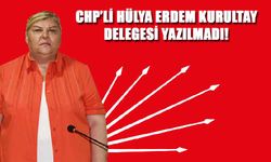 CHP’li Hülya Erdem Kurultay Delegesi Yazılmadı!