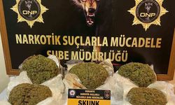 Yolcu Otobüsünde 8 Kilo Skunk Ele Geçirildi