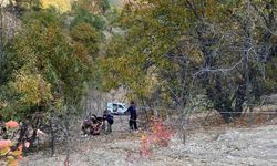 Tunceli’de Trafik Kazası: 2 Yaralı