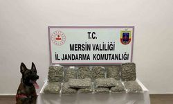 Mersin’de 14 Kilo 200 Gram Skunk Ele Geçirildi