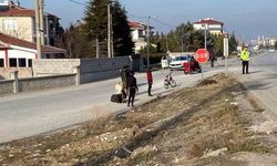 Yola Çıkan Başıboş Eşeklere Tır Çarptı