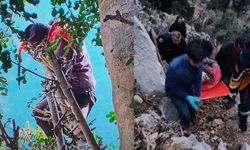 Ağaç Dalı Keserken Fenalaşıp Hayatını Kaybetti