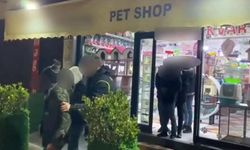 Pet Shop’ta Düzensiz Göçmen Operasyonu