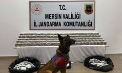 Mersin Polisi Kaçakçılara Geçit Vermiyor!