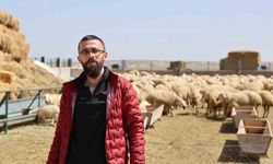 42 Bin Lira Maaşa Rağmen Çoban Bulunamıyor