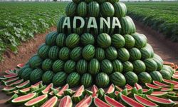 Adana Karpuz Üretiminde Türkiye’de Birincisi Oldu!