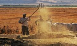 Tarımda Üretici Enflasyonu Şubatta Yüzde 58,29 Oldu