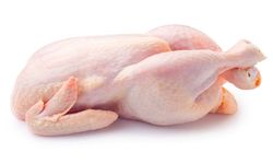 Tavuk Eti Üretimi Aylık Yüzde 1,4 Arttı