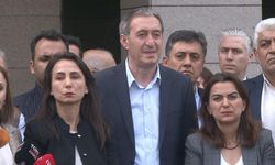 DEM Parti’den, Zeydan’ın Adaylığı Hakkında YSK’ya İtiraz