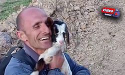 Fenomen Çobanın Hayvan Sevgisi Gülümsetiyor!