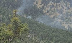 Saimbeyli’de Çıkan Orman Yangını Kontrol Altına Alındı