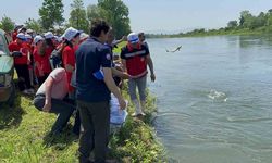 5 Bin Mersin Balığı Yeşilırmak’a Salındı