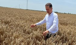"Açıklanan Buğday Fiyatı Beklentileri Karşılamadı"