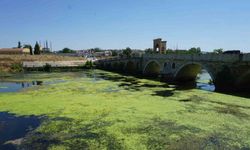 Edirne’de Tunca Nehri Yeşile Büründü