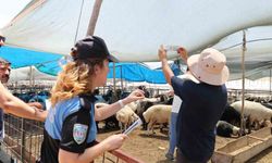 Mersin Polisi Kurbanlık Satış Alanlarında Vatandaşları Uyardı