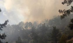 Adana’da orman yangını! Ekipler Müdahale Ediyor!