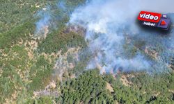 Adana’daki Orman Yangını Kontrol Altına Alındı