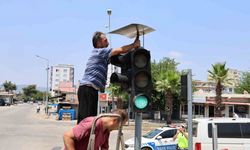 Polisten Trafik Işıklarına Yuva Yapan Kumrulara Gölgelik