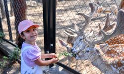 Tarsus Doğa Parkı, Bayram Tatilinin İlk 5 Gününde 16 Bine Yakın Kişiyi Ağırladı
