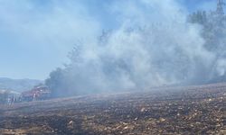 Adana’da Orman Yangını Kontrol Altına Alındı