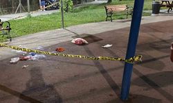 Eyüpsultan’da Parkın Ortasında 2 Kişi Silahla Vurularak Yaralandı