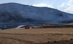 Gaziantep’te Anız Yangını Ormanlık Alana Zarar Verdi
