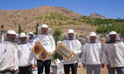 En Çok Bal Üretimi Olan Adana'da Hasat Zamanı