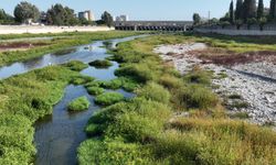 “Seyhan Nehri’nde İş Makineleriyle Temizliğe Başladık”