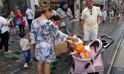 Taksim'de Bebek Arabasındaki Köpek İlgi Odağı!