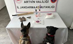 Jandarmanın Durdurduğu Araçtan Kaleşnikof Şarjörü Çıktı