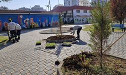 Seyhan Belediyesi Çiçeklendirme Çalışmalarına Başladı