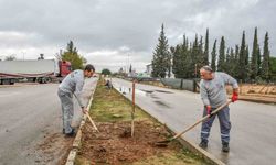 Şehir, Tarihi Mirasıyla Yeniden Yeşeriyor