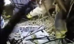 Alkollü Şahıs Fotoğraf Çekinmek İçin Aşağıya Düştü