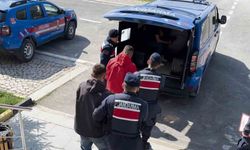 Küçükbaş Hayvan Hırsızlığına 1 Tutuklama