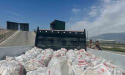 2 Ton Kaçak İnci Kefali Yakalandı