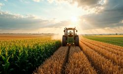 2025'te Bitkisel Üretimde Sert Düşüş Bekleniyor! Tahıl, Sebze ve Meyvede Gerileme Öngörülüyor